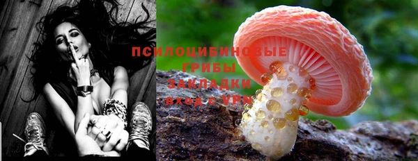 прущий лед Вязники