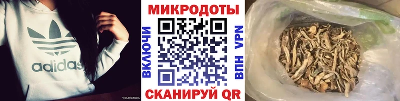 Галлюциногенные грибы GOLDEN TEACHER  мориарти какой сайт  Данков  закладка 